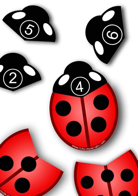 les coccinelles maths.